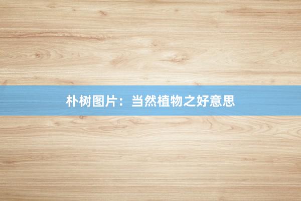 朴树图片:当然植物之好意思